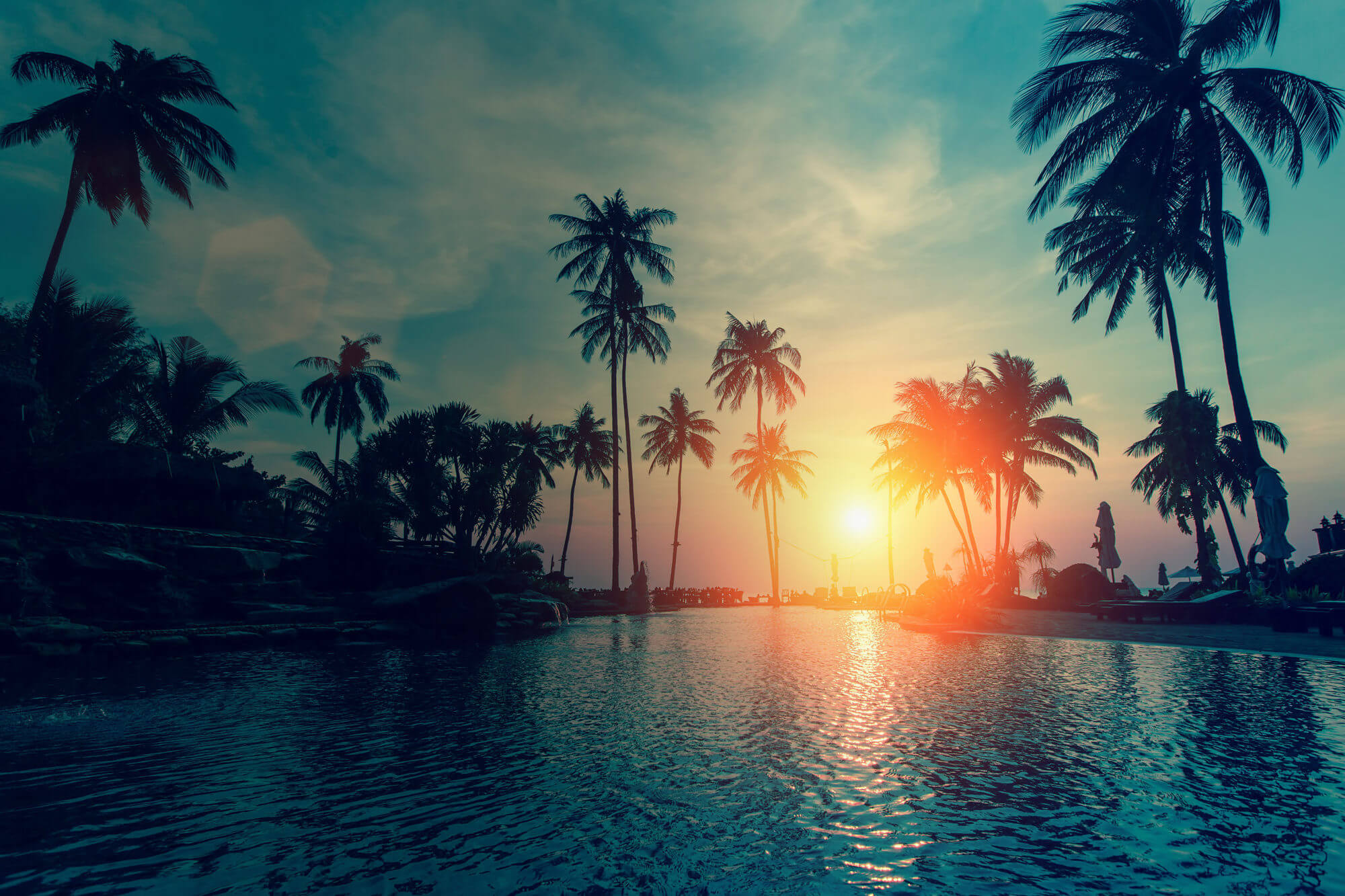 Fantastic sunset, palm trees in tropical beach